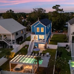 THE BLUE PALM359A
